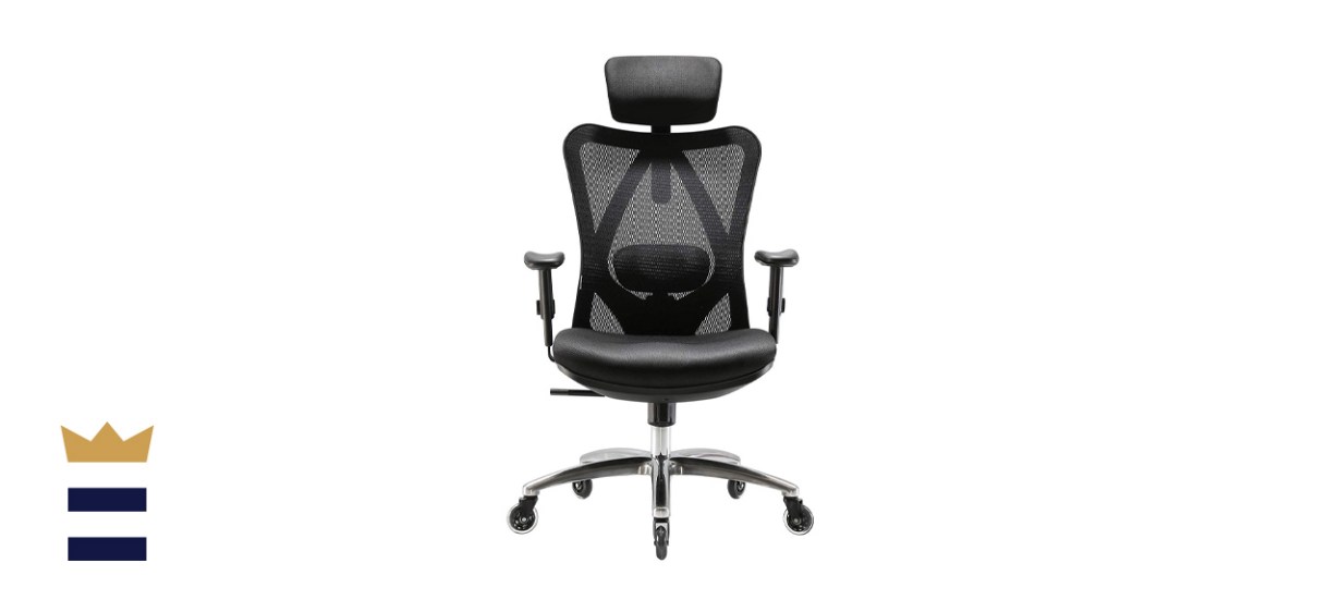 XUER Ergonomics Office Chair
