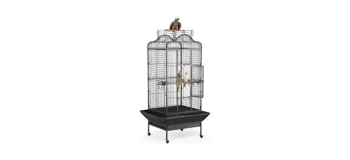 Yaheetech Wrought Iron Bird Cage