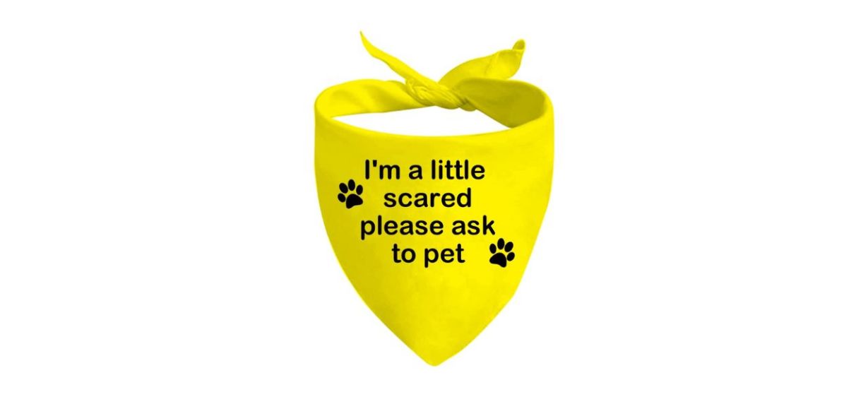 A yellow bandanna with 2 images of black paw prints on it. Black text on bandanna reads: &quot;I'm a little scared please ask to pet.&quot;