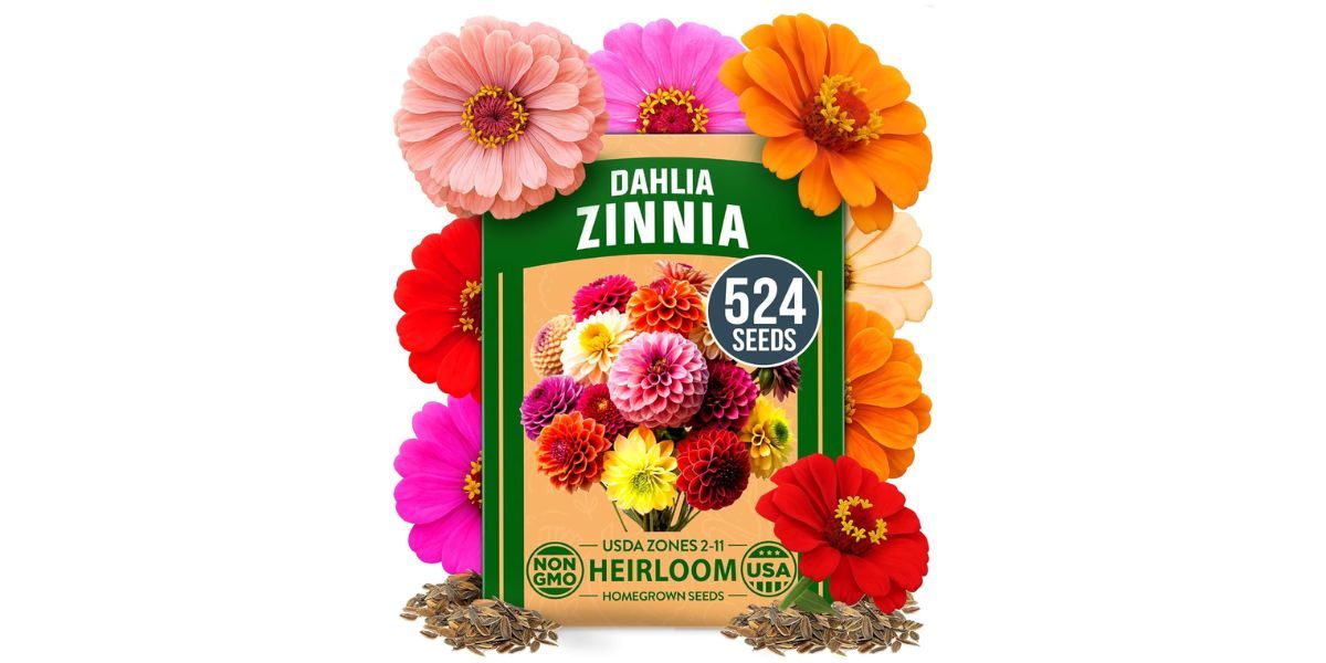 HOME GROWN Zinnia Dahlia Seeds