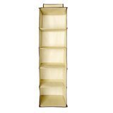 Best Hanging Closet Organizers 