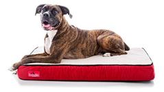 Brindle Waterproof Designer Memory Foam Pet Bed