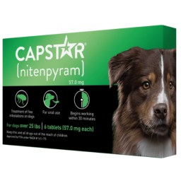 Capstar