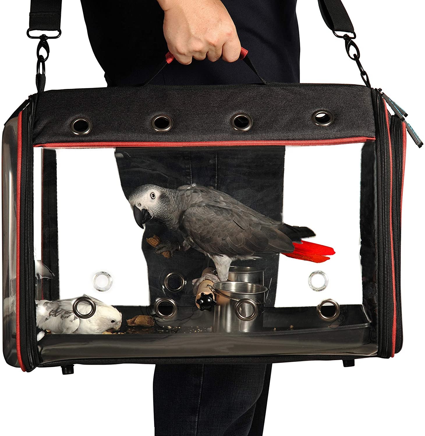 Colorday Lightweight Bird Carrier
