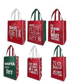 EarthWise Reusable Gift and Grocery Bags