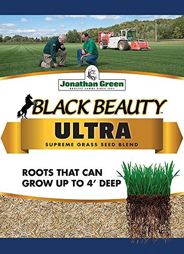 Jonathan Green Black Beauty Ultra Grass Seed