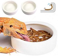 HELIME Reptile Food Dish Bowl