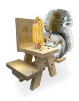 Backyard Expressions