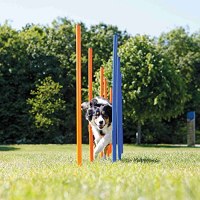 Trixie Dog Agility Slalom Training Poles