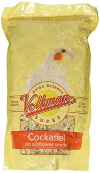 Volkman Cockatiel with sunflower seeds